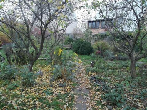 Осенняя влагозарядка сада. Осень: подзимний влагозарядный полив