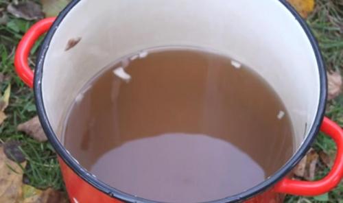 Рядовка бело коричневая приготовление. Как готовить грибы бело-коричневые рядовки