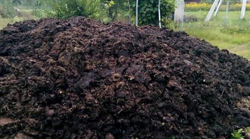 Как отличить навоз от перегноя. Чем отличается компост от перегноя?