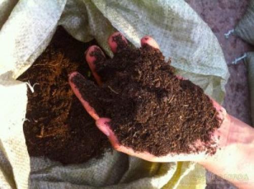 Как отличить навоз от перегноя. Способы компостирования растительных остатков