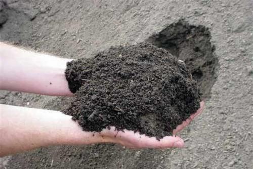 Когда лучше завозить землю на участок весной или осенью. Виды земельных участков 07