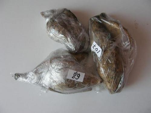 Как хранить георгины в опилках. Как хранить георгины после выкопки - нюансы режима хранения