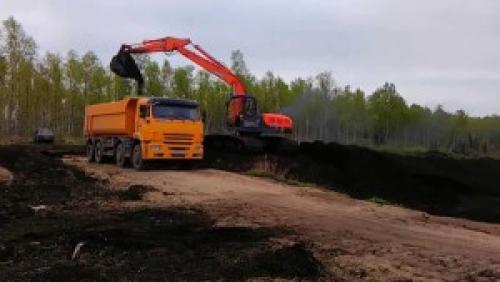 Как отличить навоз от перегноя. Способы компостирования растительных остатков