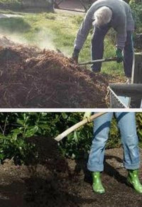 Чем удобрить неплодородную почву. Навигация по записям