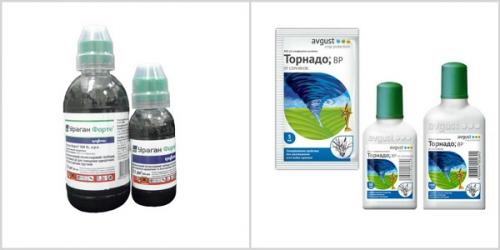 Как избавиться от конского щавеля на газоне. Как избавиться от конского щавеля?