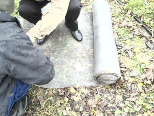 Краска для деревьев от зайцев. Защита от зайцев, грызунов и солнца в закладки 9