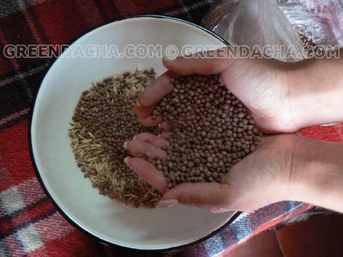 Как подготовить почву к зиме на даче. Осенняя подготовка почвы к зиме 01