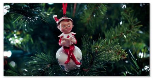 Ель в лесу. Ель — зимой и летом…