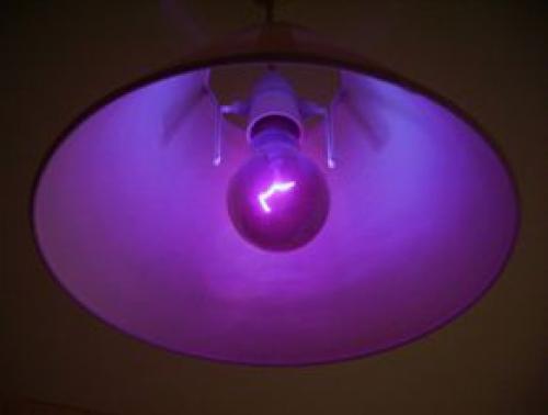 Как хранить яблоки В бумаге. 6 способов хранения яблок