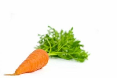 Куда деть морковную ботву. Куда деть ботву от моркови