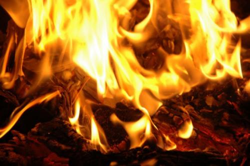 Почему дрова при горении трещат. Почему дрова трещат