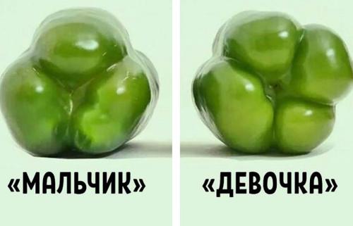 У перца, какой вкус. Цвета болгарского перца: что они обозначают? 18