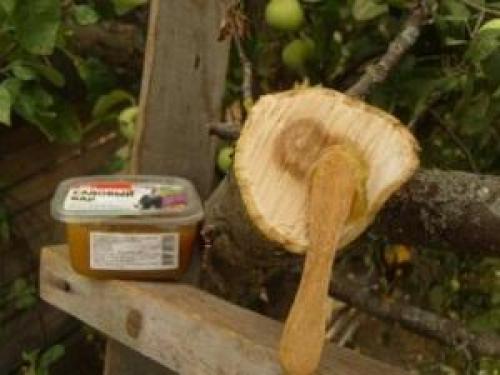 Чем обработать срез растения. Для чего нужно замазывать деревья?