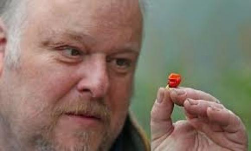 Перец дыхание дьявола. Самый острый перец в мире.