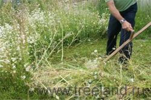 Как правильно пользоваться серпом. Старый серп. Как правильно его использовать на рыбалке 07