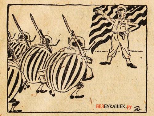 Как появился колорадский жук в России. Происхождение и описание 03