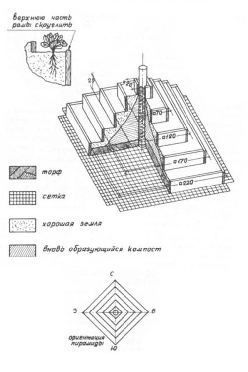 Горка для клубники. Грядка пирамида для клубники: чертежи, фото
