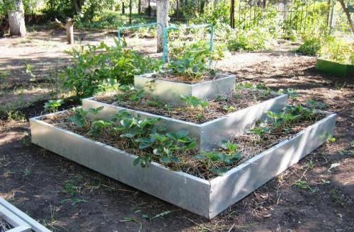 Клубника в пирамиде. Как сделать пирамиду под клубнику на даче