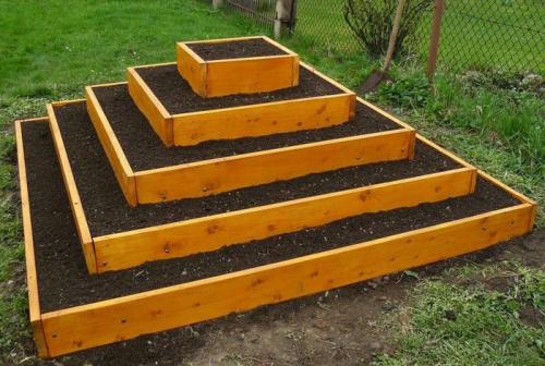 Клубника в пирамиде. Как сделать пирамиду под клубнику на даче