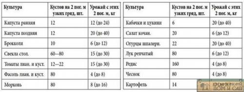 Огород без хлопот для пожилых, как делать умные грядки. Как организовать ленивый огород