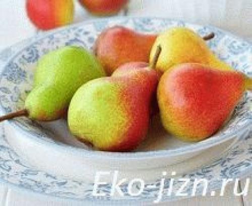 Семена груши польза. Полезные свойства груш — или висит груша — нужно скушать!