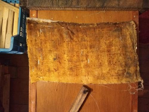 Почему улетает рой пчел. Как гарантировано, поймать пчелиный рой