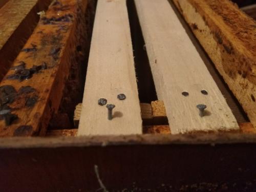 Почему улетает рой пчел. Как гарантировано, поймать пчелиный рой