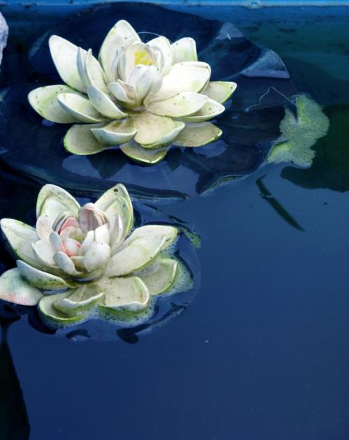 Цветок лотоса рисунок. Как нарисовать лотос