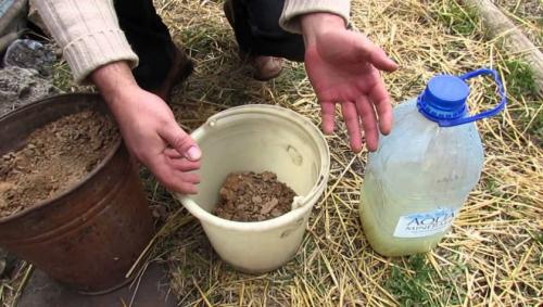 Чем обработать срезы яблонь после обрезки. Когда обрабатывать срезы и повреждения коры яблони? 05