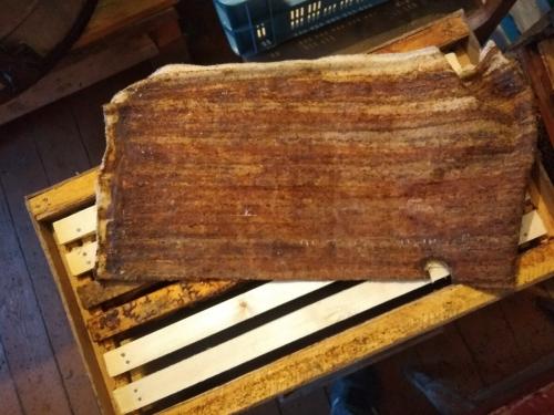 Почему улетает рой пчел. Как гарантировано, поймать пчелиный рой