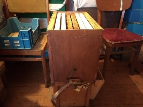 Почему улетает рой пчел. Как гарантировано, поймать пчелиный рой