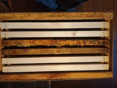 Почему улетает рой пчел. Как гарантировано, поймать пчелиный рой