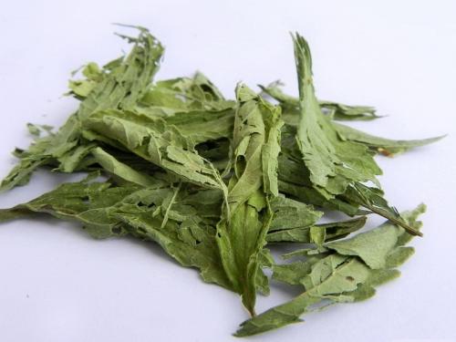 Как в домашних условиях вырастить стевию. Как вырастить полезную стевию на своем участке и дома в горшке? 13