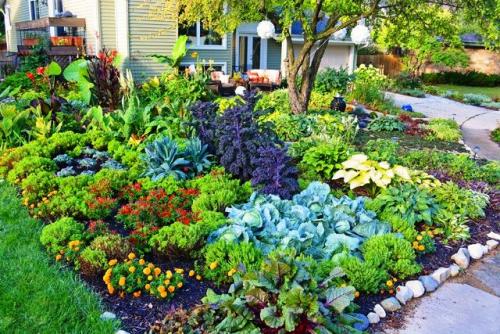 Овощи для дачи. Что вырастить на огороде