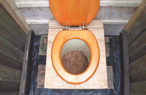 Можно ли удобрять человеческим калом огород. Человеческий навоз, как удобрение. Бабушкин метод 02