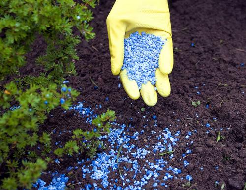 Сколько грамм извести в спичечном коробке. Сколько вешать в граммах?