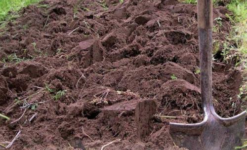 Когда пахать огород на зиму. Значение вспашки для плодородия почвы