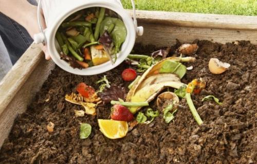 Можно ли удобрять человеческим калом огород. Человеческий навоз, как удобрение. Бабушкин метод 04