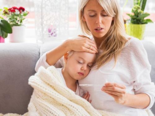 Какую температуру минусовую выдерживают розы. Сколько градусов мороза выдерживают незакрытые розы 05