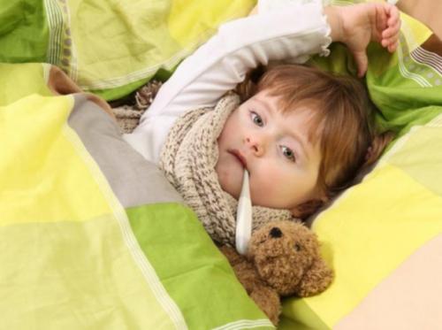 Какую температуру минусовую выдерживают розы. Сколько градусов мороза выдерживают незакрытые розы 04