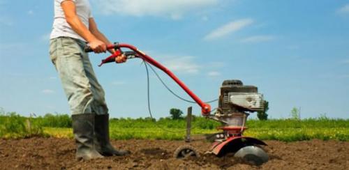 Когда пахать огород на зиму. Значение вспашки для плодородия почвы