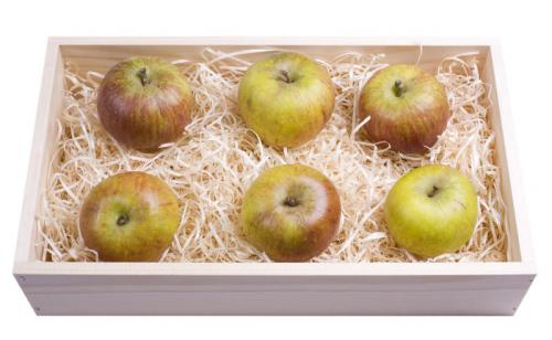 как сохранить яблоки в опилках. как сохранить яблоки до весны
