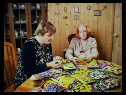 Тюльпаны переопыляются или нет. Тюльпаны переопылились 04 Тюльпаны переопыляются или нет. Тюльпаны переопылились 04