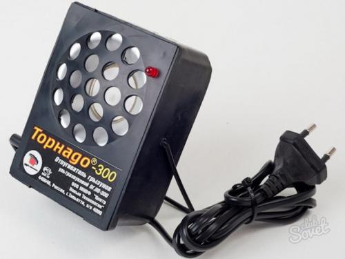 Борьба с подземными грызунами. Эффективные методы борьбы с земляной крысой