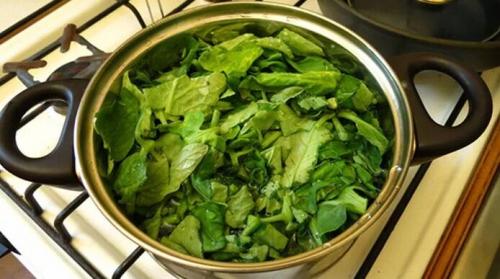 Помидорная ботва ядовита. Как использовать помидорную ботву: 5 способов на все случаи жизни