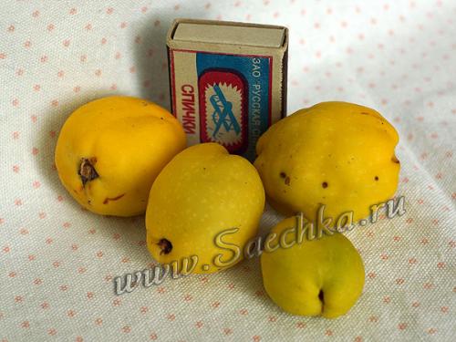 Что можно сделать с айвой японской. Ингредиенты: 01