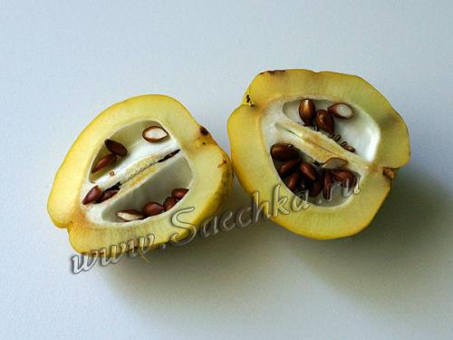 Что можно сделать с айвой японской. Ингредиенты: 02