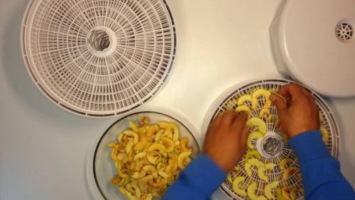 Японская айва сушка. Айва сушеная – способы сушки в домашних условиях