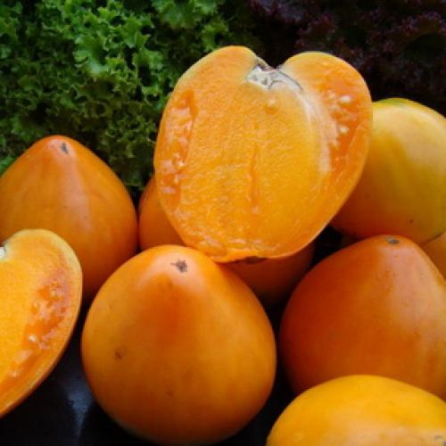 Чем помидор отличается от томата. 08