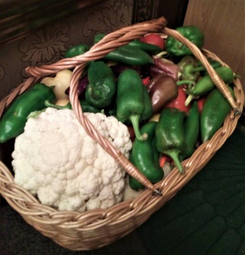 Как дозаривать перцы. Как дозаривать неспелые перцы, чтобы не дрябли.